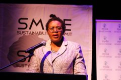 Remarks by Minister Mmamoloko Kubayi-Ngubane at the SMME Sustainability Summit, Sandton